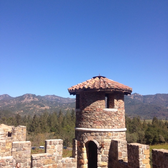 Meet your Posher, Elvis - Picture 1 of 1